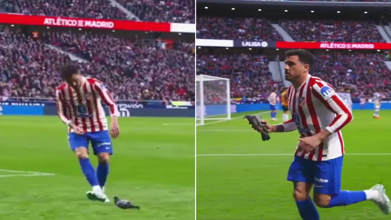 لقطة إنسانية لمدافع أتلتيكو مدريد ينقذ حمامة خلال مباراة في الدوري الإسباني